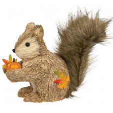 Sisal Fall Squirrel